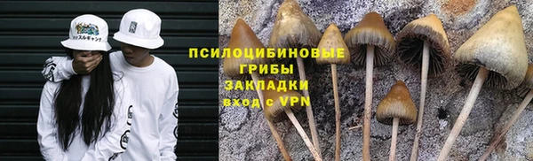 бошки Богородск