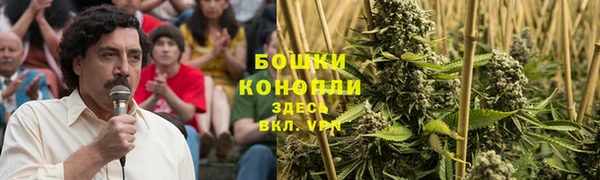 бошки Богородск
