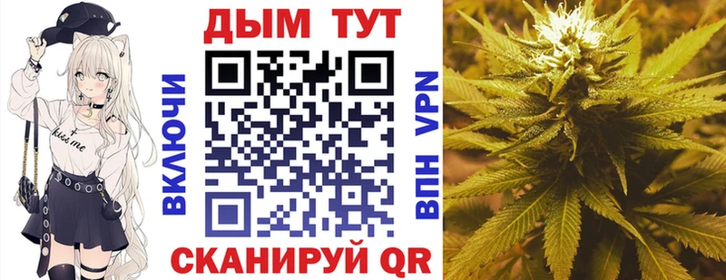 mega как войти  Жиздра  Конопля индика 